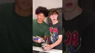 #pov