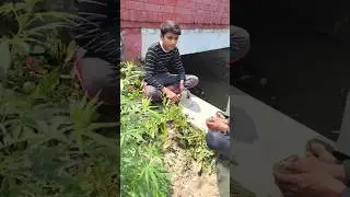 ये सही है 😋😄😂🤣😅// funny videos// #shorts #shortvideo #trendingshorts #comedy #mr.vishnu4u