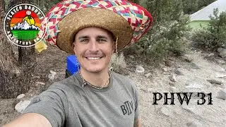 PHW 31