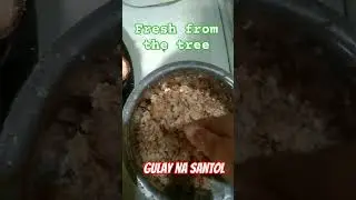 How to preserve gulay na santol/ Cotton fruits