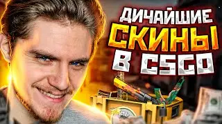 ДИЧАЙШИЕ СКИНЫ В CS:GO