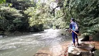 2 hari berburu ikan mahseer di pedalaman hutan rimba