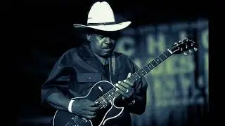 Lonnie Brooks - Cold Lonely Nights