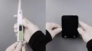 Dental Apex Locator Review