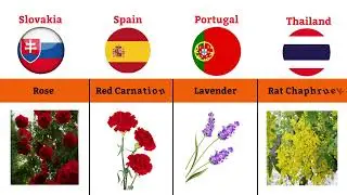 National Flower from different country ;44 country list I 