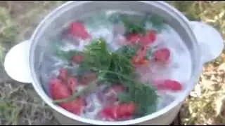 На безрыбье и рак рыба.