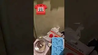 котики про телефон
