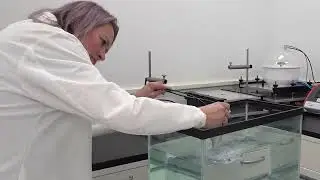 Medical Device Package Permeation Testing