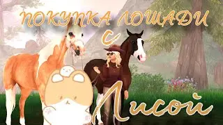 Lavender|Покупка лошади с Лисой|SSO