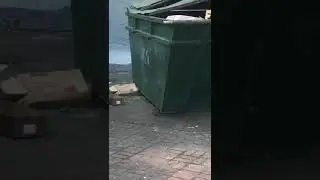 КРЫСЫ -МУТАНТЫ ЗАХВАТИЛИ ПОМОЙКУ