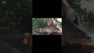 Осінь - час для трофейного коропа. Водойма Адреналін, сектор 4, вага 16+