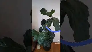 Meta Spark Studio | Draw in 3d with augmented reality 🔵✍️ #augmentedreality #metaverse #sparkar #ar