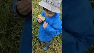 лишь бы чего пожевать. Едим апельсины и арбузы.#Линдана моей природе