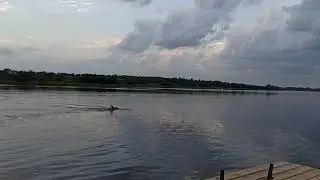18 августа 2021 г.