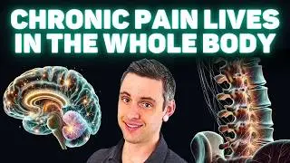 The Real ROOT CAUSE of Chronic Back Pain (pt.3) - Chronic Pain Lives In The Whole Body