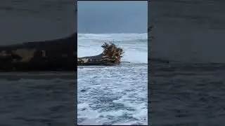 поселок Криница смыло штормом