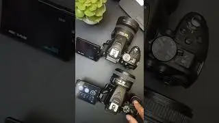 Nikon D5600 vs D5300 