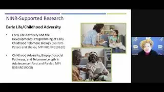 NIH Behavioral and Social Sciences Research Festival 2021 Day Two
