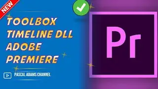 TOOLBOX, TIMELINE, TRACK, EXPORT, QUEUE, PRESET -  - TUTORIAL ADOBE PREMIERE PRO -  PART 8