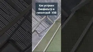 Как устроен биофильтр в гигансткой УЗВ #система #узв #акварост #фильтр