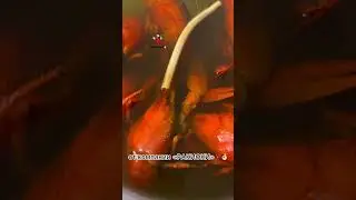ВКУСНЫЕ ВАРЕНЫЕ РАКИ 🦞 #раки #ракиоки #еда #живыераки #вареныераки #seafood #крабы #креветки #food
