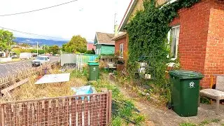 This is one of the Craziest Garden Disaster Restorations I've Ever Done!!!