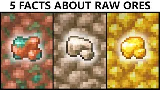 5 Facts About RAW ORES In MINECRAFT