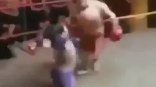 вот как должен был состояться бой хабиба и гейджи