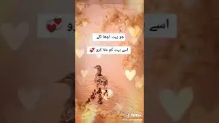 17 February 2020
