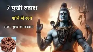 7 मुखी रुद्राक्ष: शनि का महा उपाय। साढ़ेसाती, ढैया, दशा से बचाव। धारण विधि, मंत्र, लाभ।