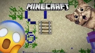 :()