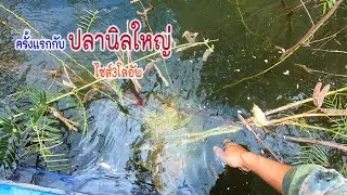 ใหญ่สุดเท่าที่เคยได้มา ยิงปลานิลใหญ่เขื่อนห้วยพุง
