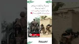 کیا ان اپریشنز سے کوئی فائدہ ہوا ہے پاکستان کو۔مثبت رائے دے پیلزاپریشن: