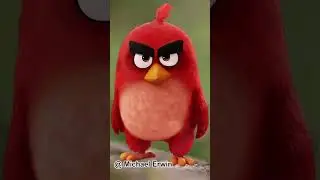 2023'ün En Komik Hayvan Fotoğrafları