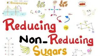 Glucose Sugar in the Urine (e.g. Glucosuria) - Reducing Sugars vs. Non-reducing Sugars -Biochemistry