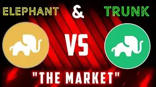 Elephant Supply Shock Inbound Thanks to Stampede | HERD Splits 1% Rewards 50/50 Up & Down