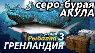 Акула Серо - бурая / РР3 [ Русская рыбалка 3.9 Гренландия]