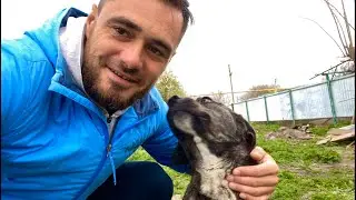 МЫ ДОМА 🏡 ВСЁ ЦВЕТЁТ