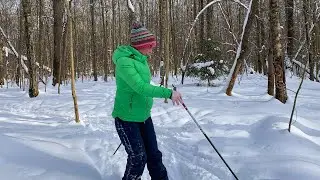 ЛЫЖНАЯ ПРОГУЛКА в БУТОВСКОМ лесопарке