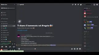 il server discord degli youtuber