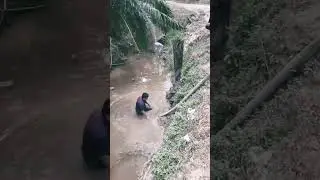 kebakaran kebun sawit