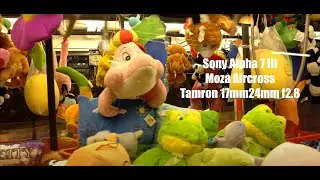 Sony Alpha 7 III with Tamron 17mm-24mm F 2.8 and Gimbal Moza Aircross