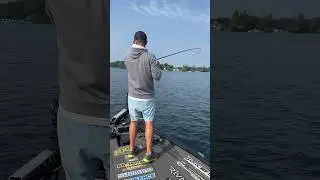 Jungle Bass Fishing | Gotta Flip into the Thick Stuff