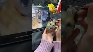 Dog art paint #artwork #paint #color #3d #pet #pets #painting #artwork #animals #creative #dog