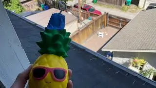 OUT OF THE HOUSE ZIPLINE?!?!