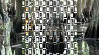 самое простое очищение организма