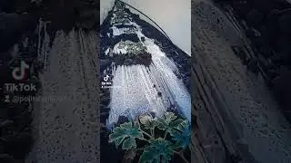 1 червня 2024 р.