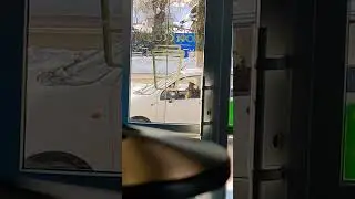 Собакен гонит 😳 #automobile #music #sound #bass #ziiin #собака #прикол #dog #pet