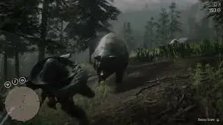 Red Dead Redemption 2 - 