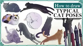 How to draw CATS in ANY POSE - Art Tutorial